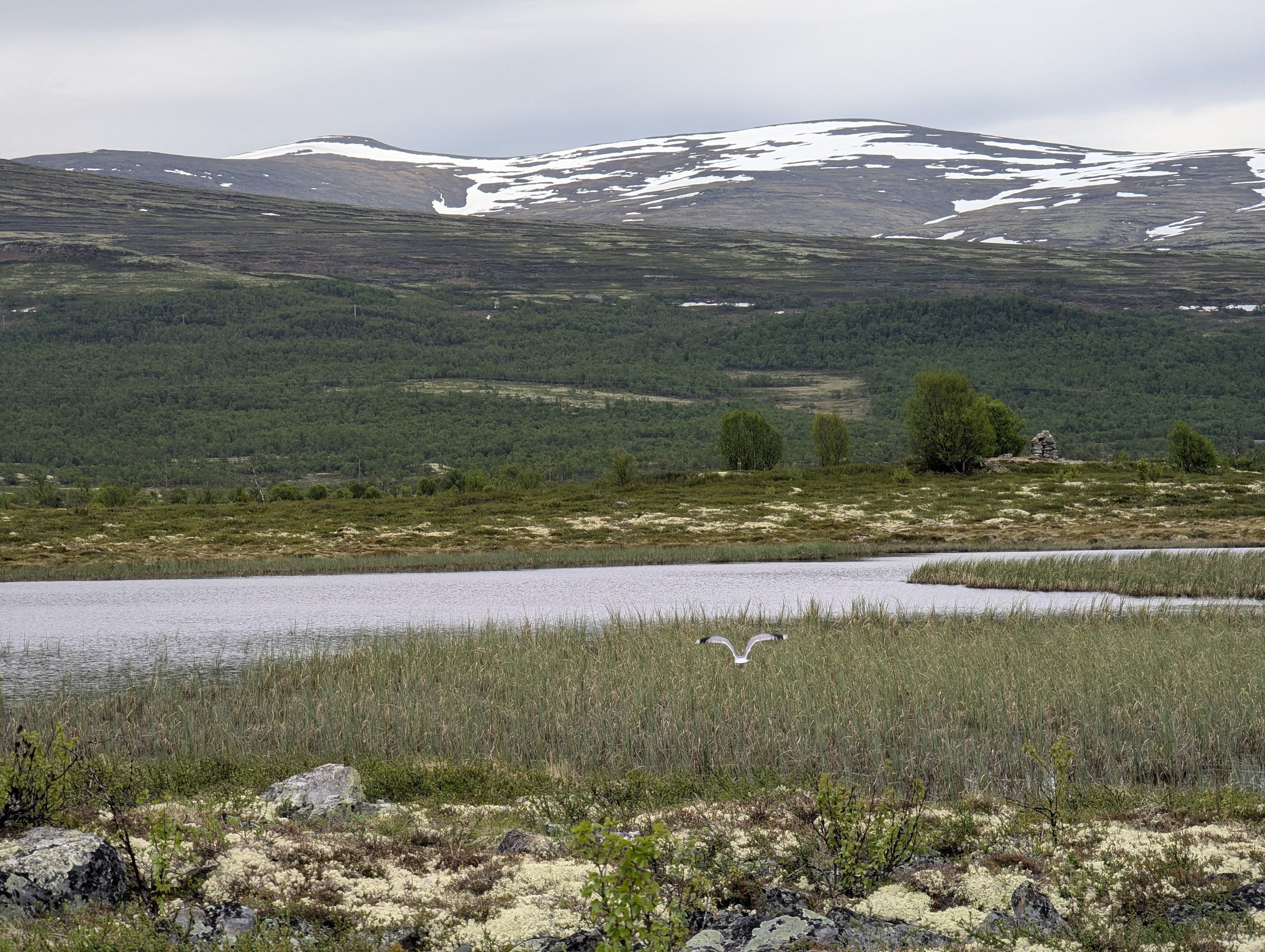 Fokstumyra parkeringsplass og inngang til parken